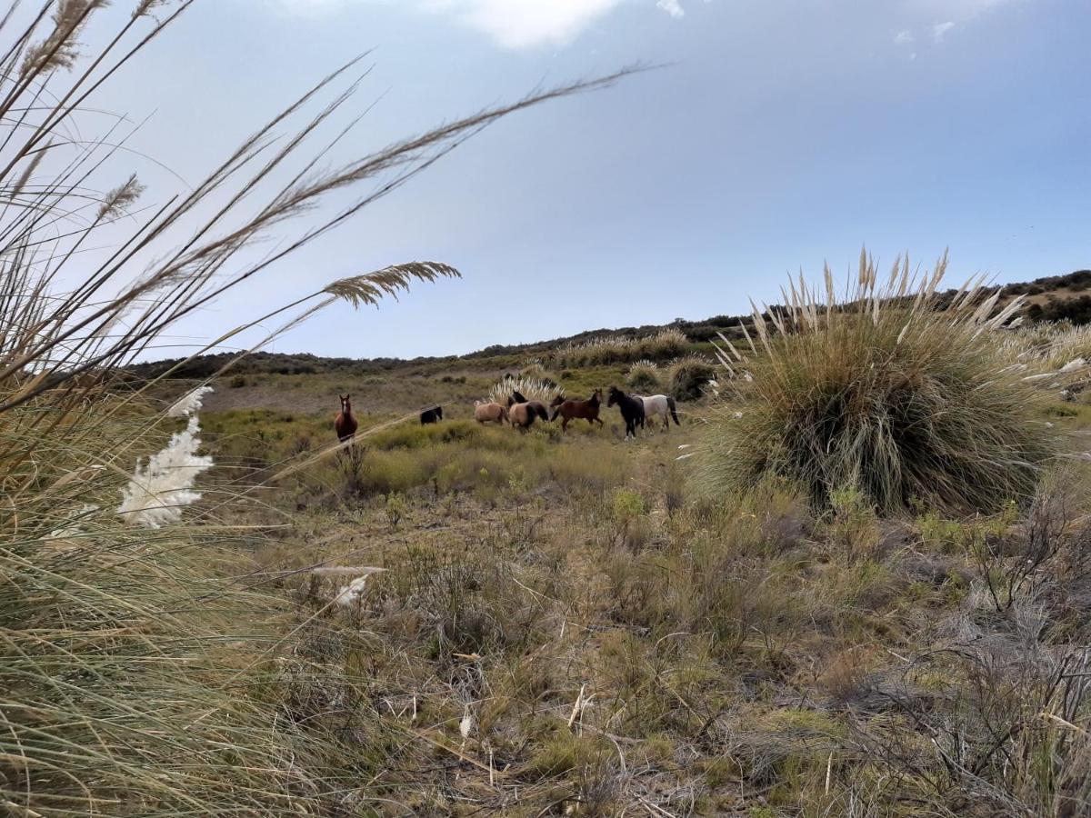La Antonieta Estancia De Mar Dos Pozos Ngoại thất bức ảnh